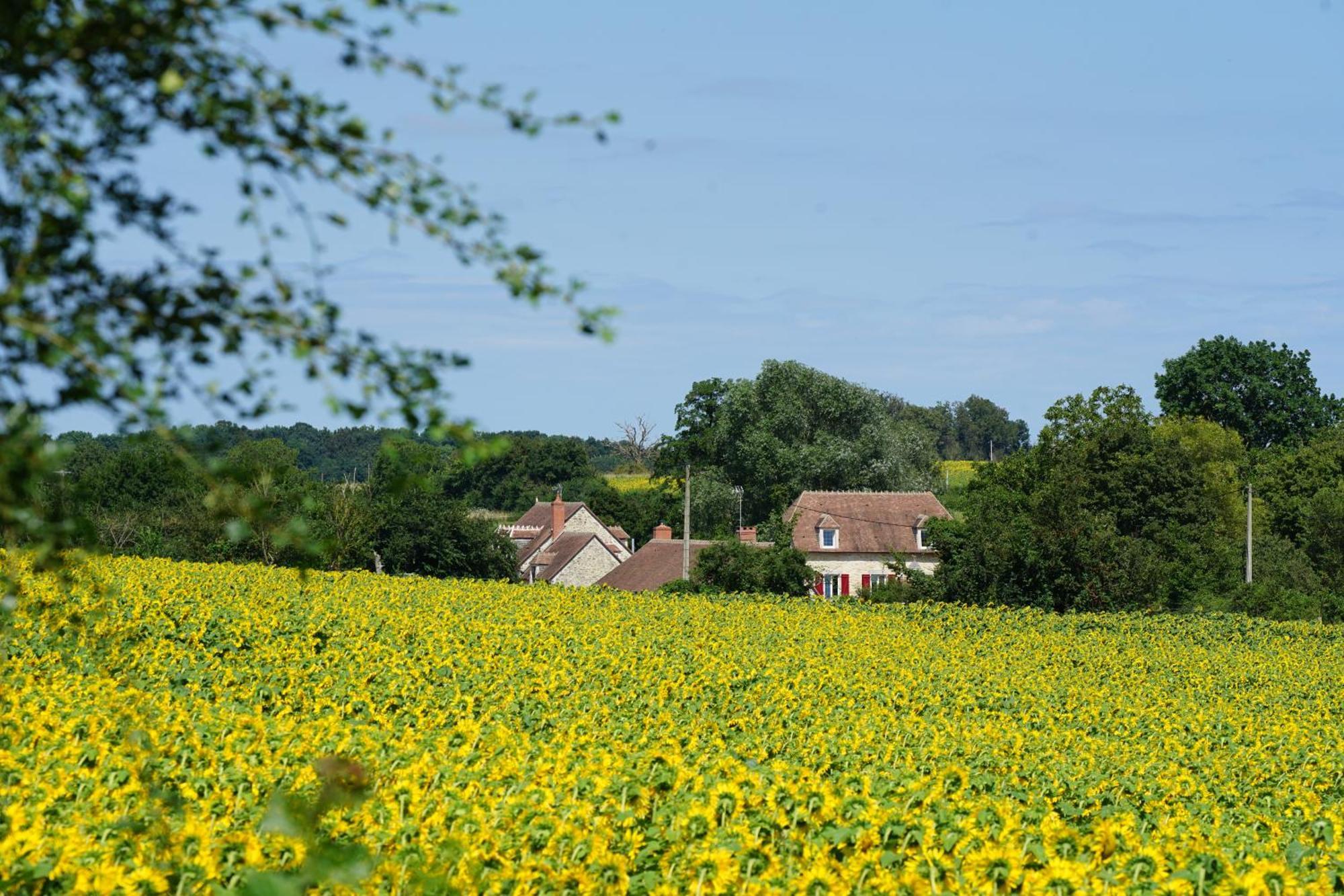 Hotel Moulin De Petoulle Charenton-du-Cher Exteriér fotografie